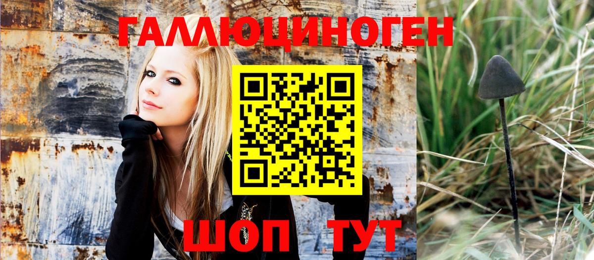 Фролово  Псилоцибиновые грибы мухоморы  Вход с VPN 